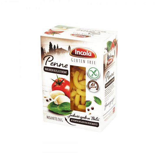 Glutenfreie Penne-Nudeln von GFS POLAND, 250 g, trockene Pasta in einer Packung auf weißem Hintergrund