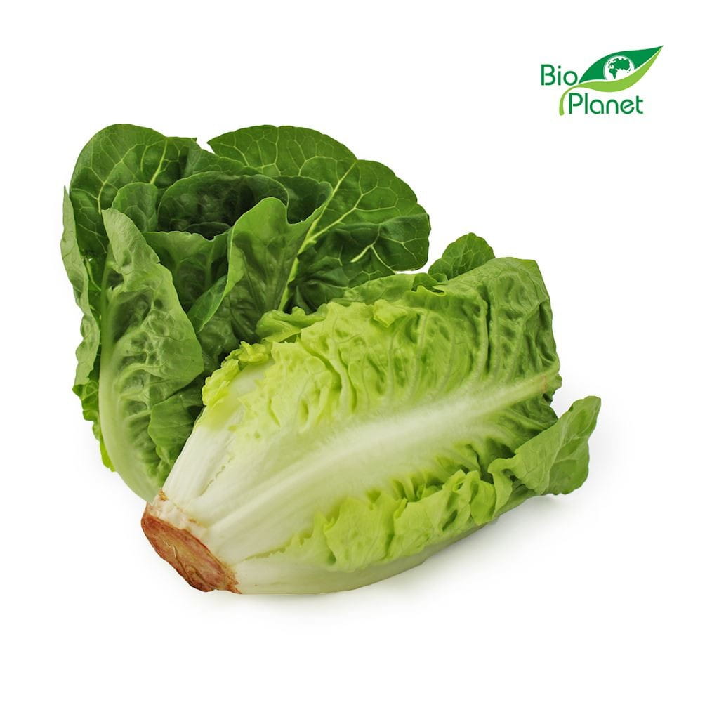 Discount fresh mini romaine lettuce ORGANIC (approx. 0.40 kg)