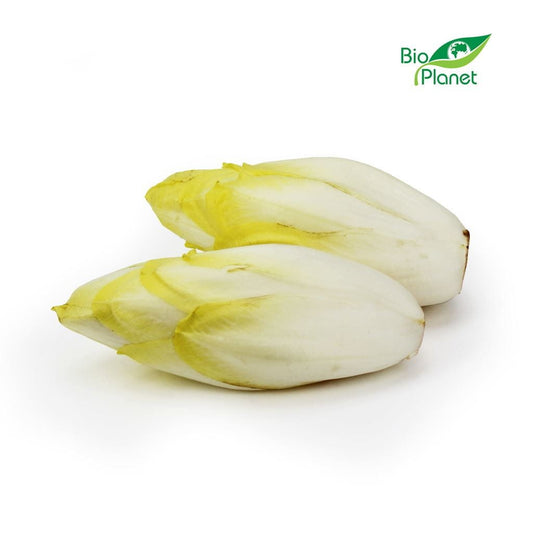 Verkauf BIO frischer Chicorée (ca. 0,50 kg) - Biogo.de